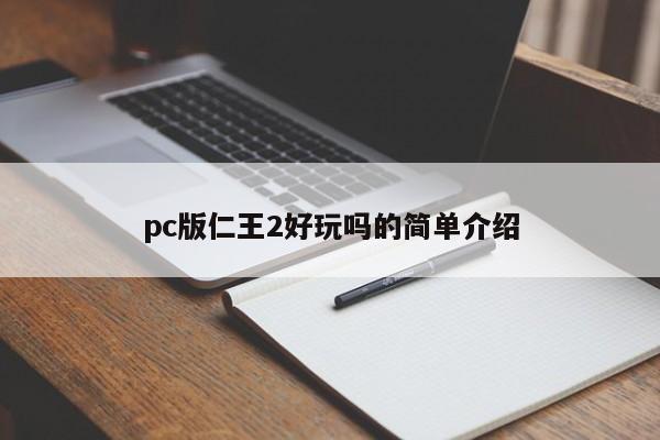 pc版仁王2好玩吗的简单介绍