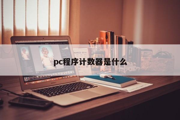 pc程序计数器是什么