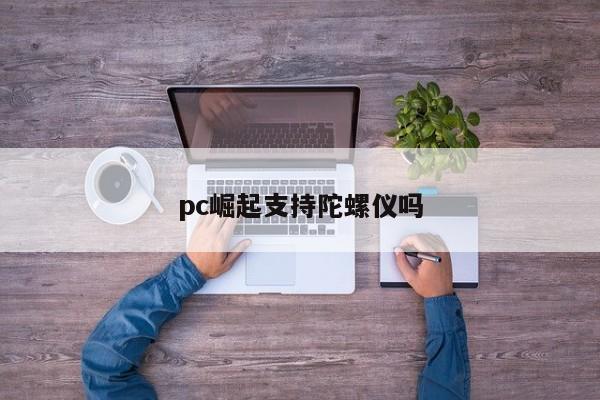 pc崛起支持陀螺仪吗